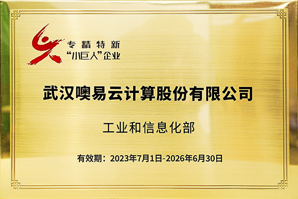國家級專精特新“小巨人”企業(yè)