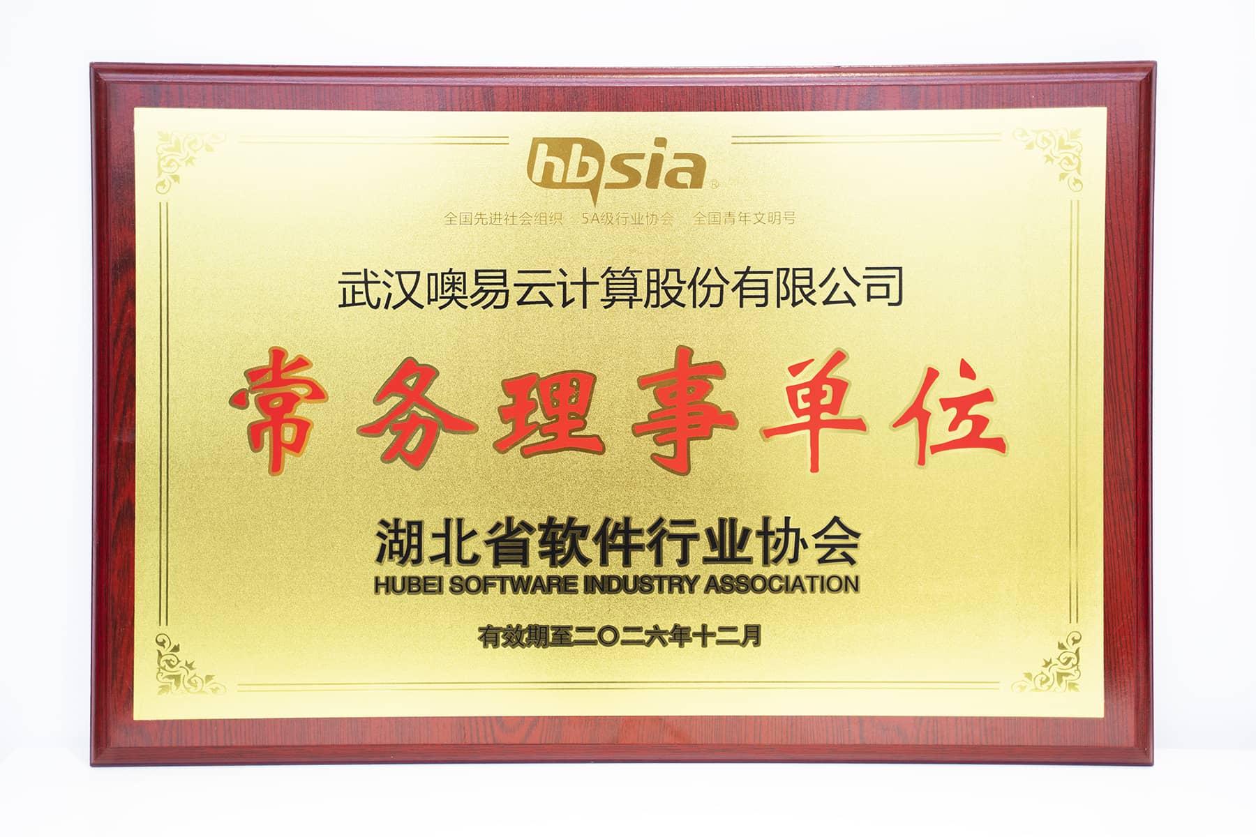 常務(wù)理事單位（湖北省軟件行業(yè)協(xié)會）