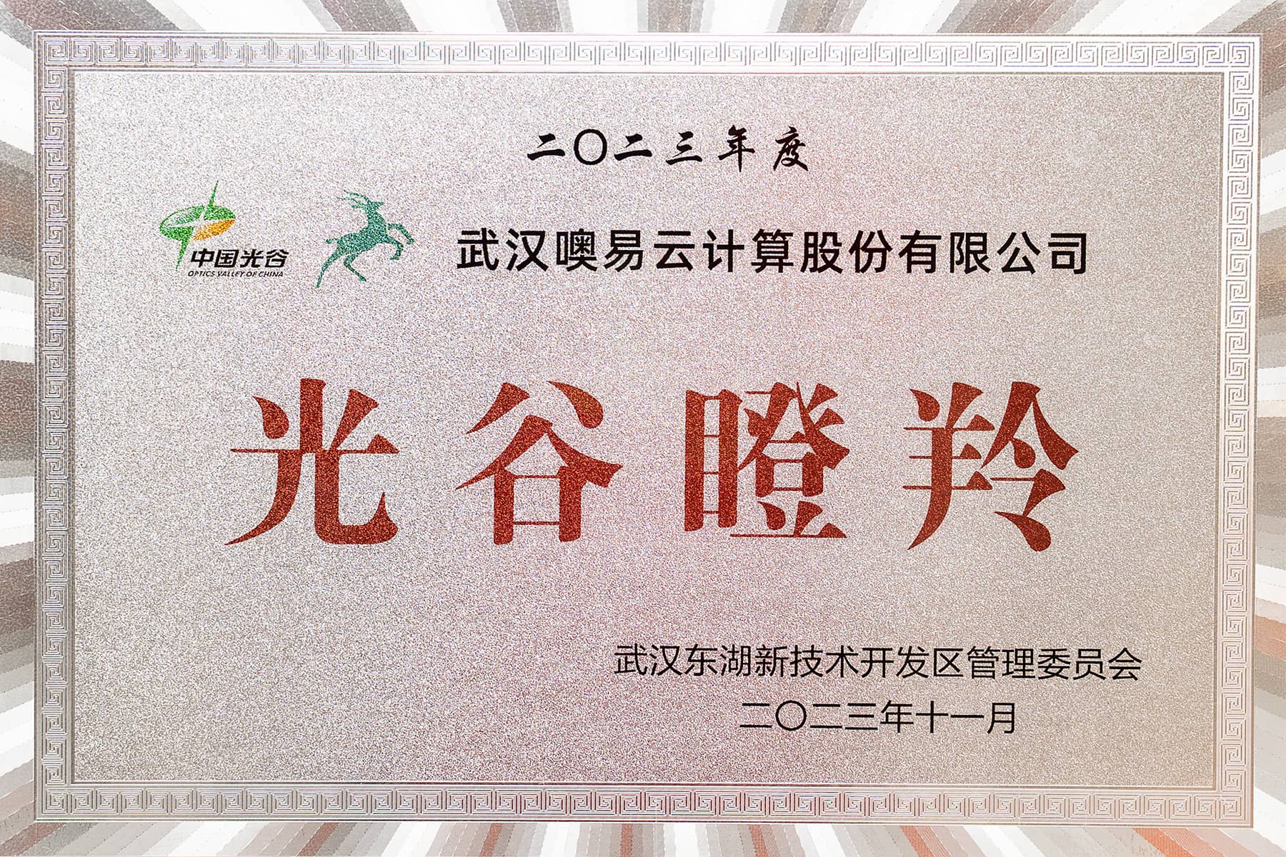 連續(xù)八年光谷瞪羚企業(yè)(2016-2023)